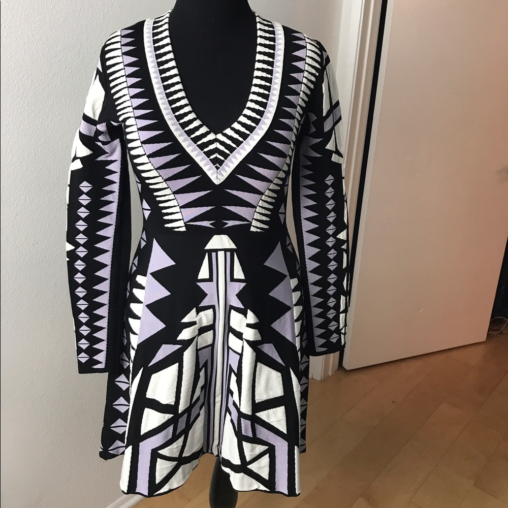 NWT Parker Printed Dress